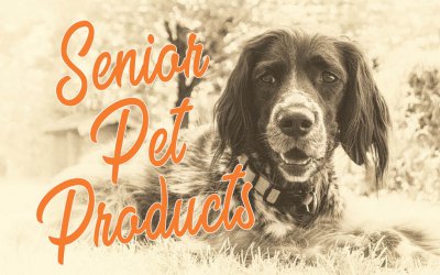 Supporting Vitality in Senior Pets