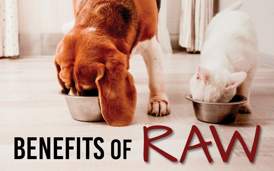 Benefits of Raw Twitter (002)