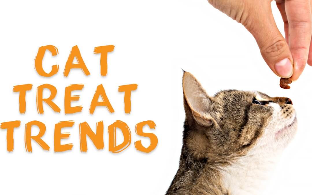 Purr-fect Cat Treats