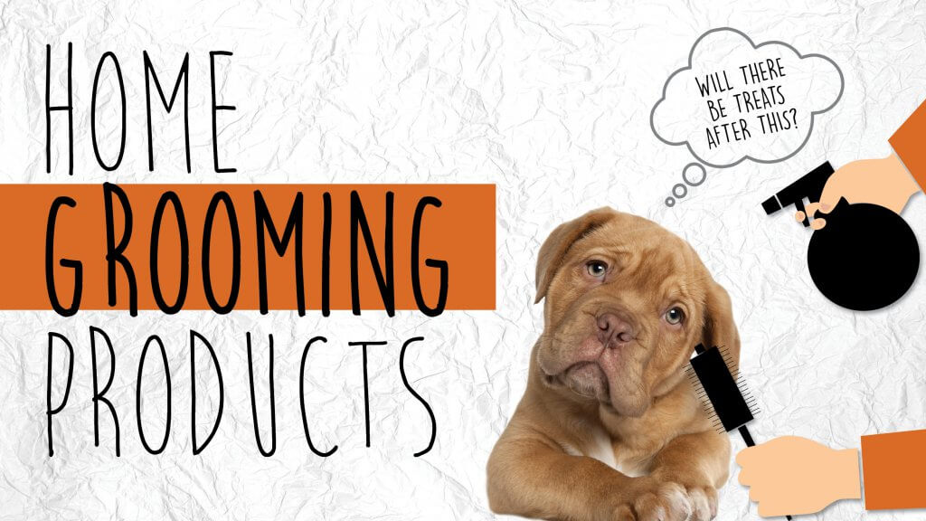 Home Grooming Phillips Pet Food & Supplies