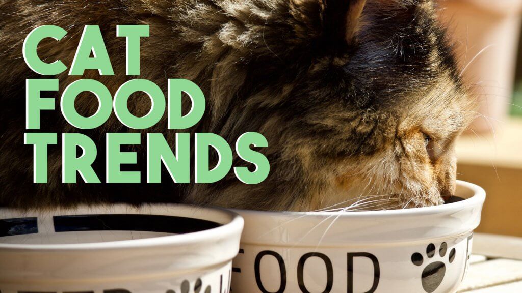Cat Food Trends Phillips Pet Food & Supplies