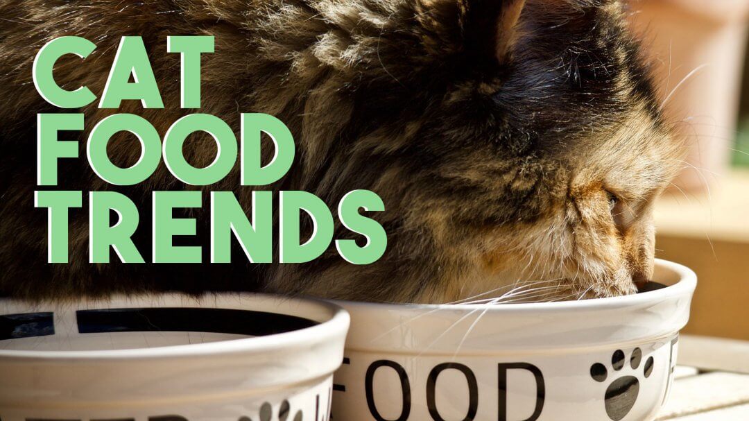 Cat Food Trends Phillips Pet Food & Supplies
