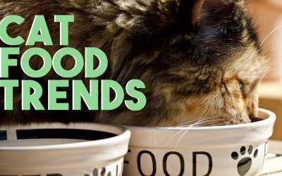 Food Variety for Finicky Felines