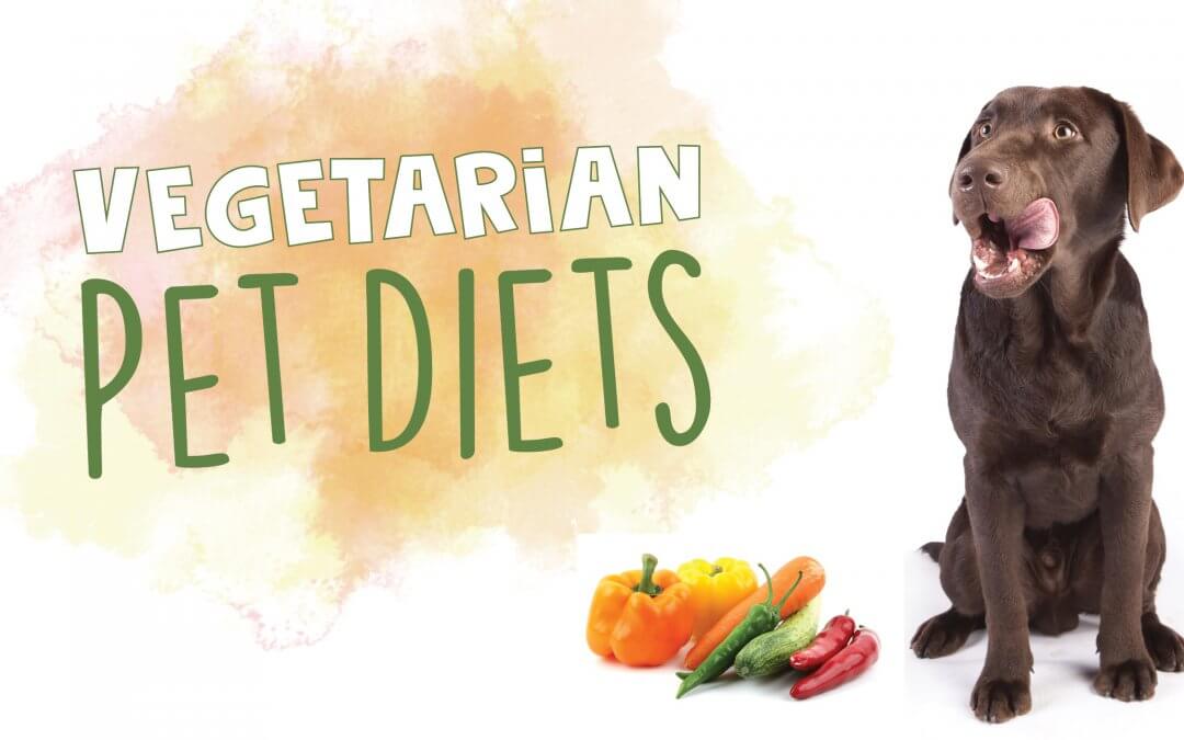 Vegetarian Pet Diets