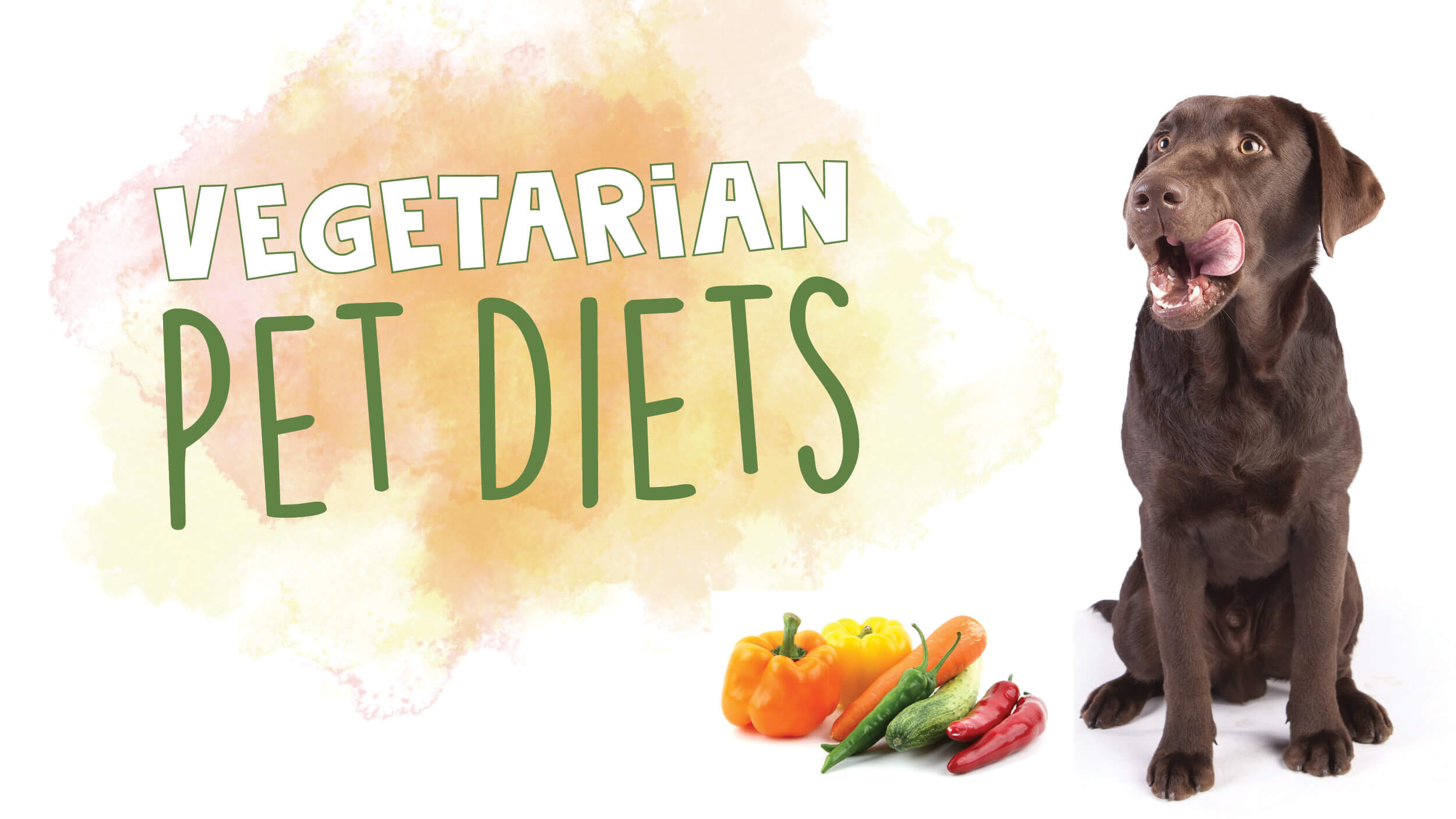 Vegetarian Pet Diets Phillips Pet Food & Supplies