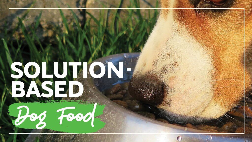 SolutionBased Dog Food Phillips Pet Food & Supplies