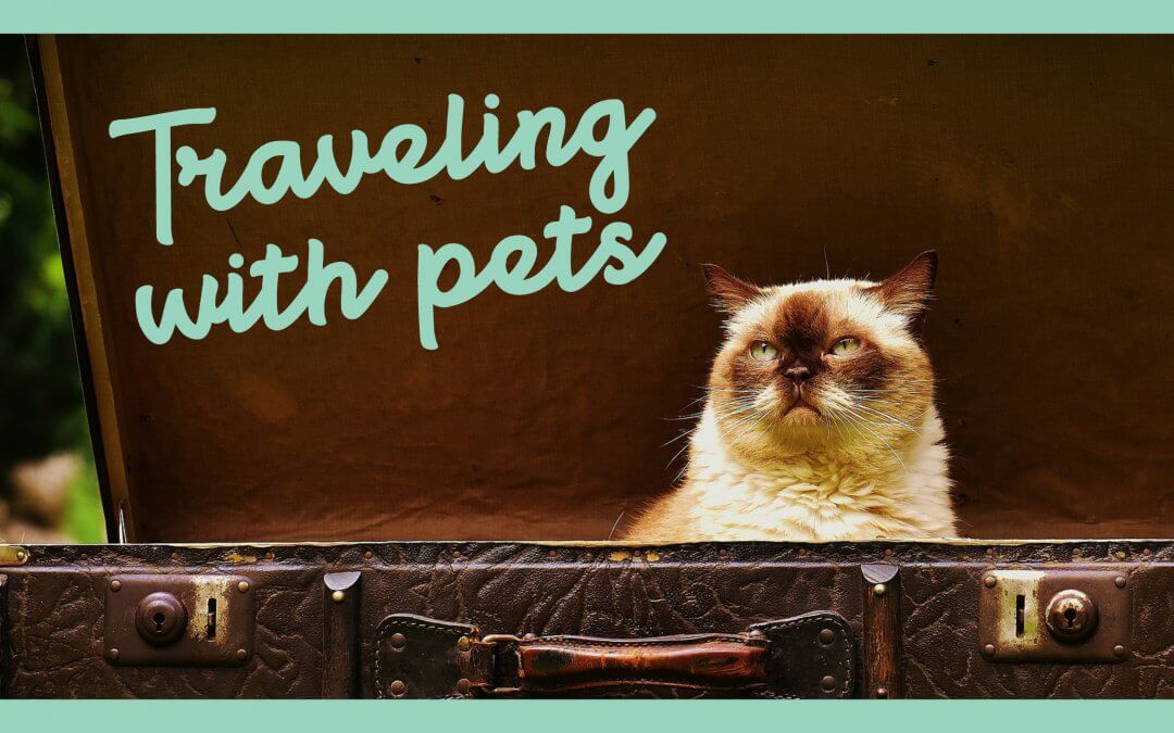 Traveling with Pets