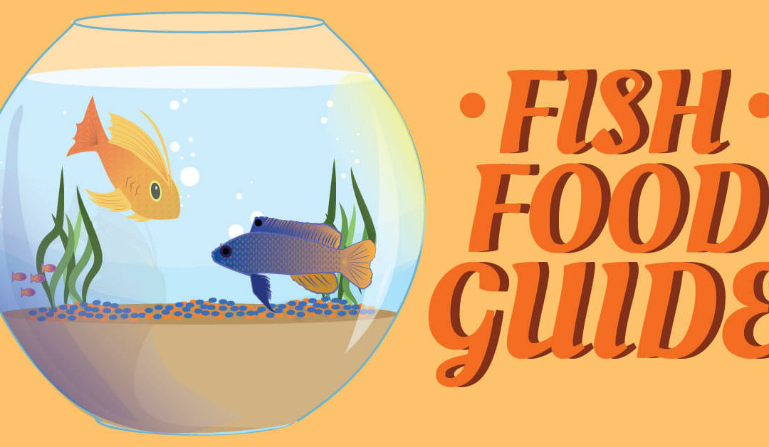 Fish Food Guide Phillips Pet Food & Supplies