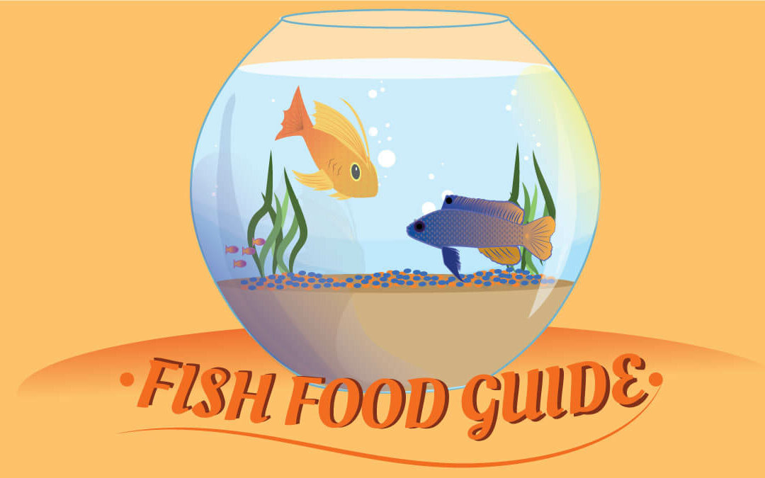 Fish Food guide Phillips Pet Food & Supplies
