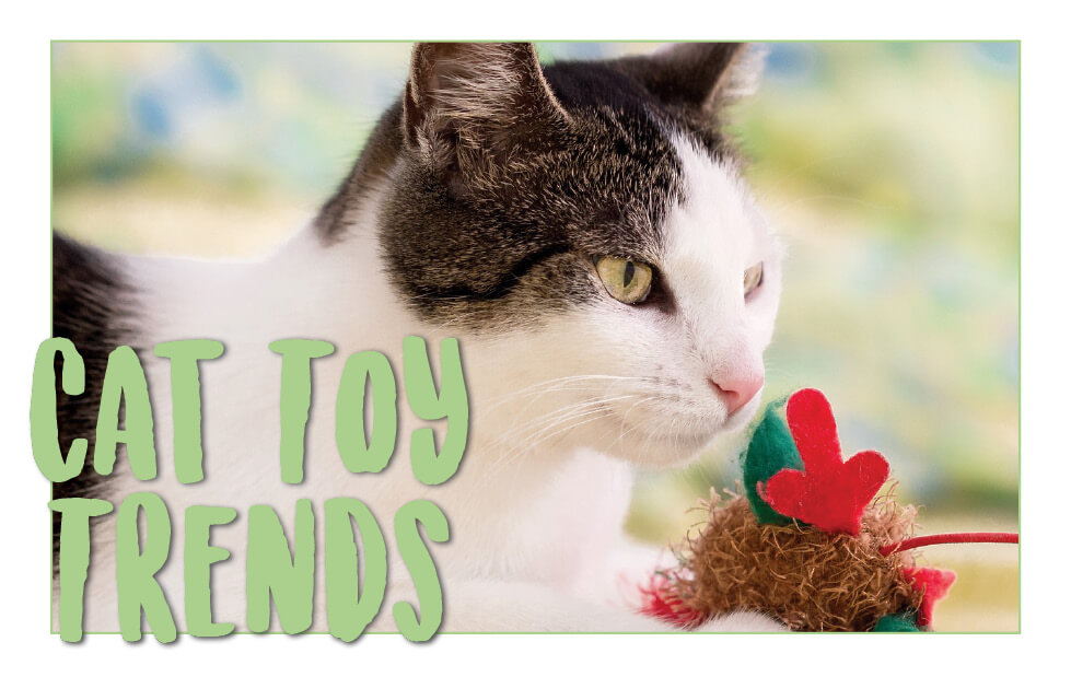 Cat Toy Trends