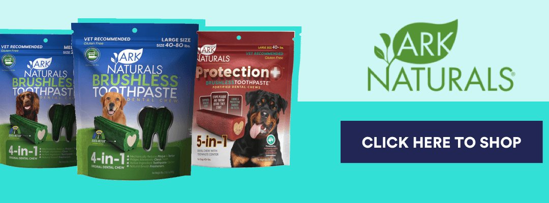DENTAL_BLOG_BANNER_ARK_NATURALS