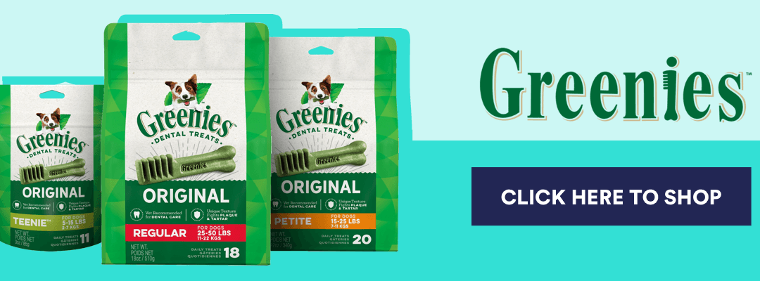 DENTAL_BLOG_BANNER_GREENIES