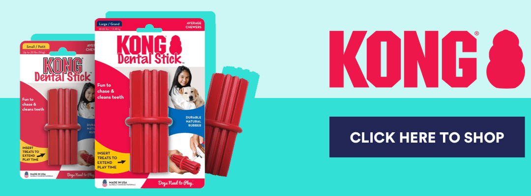 DENTAL_BLOG_BANNER_KONG