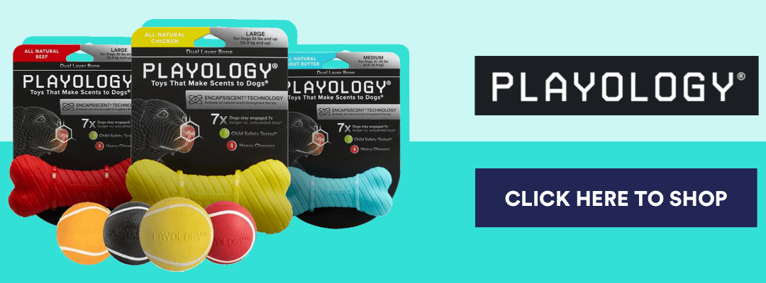 DENTAL_BLOG_BANNER_PLAYOLOGY