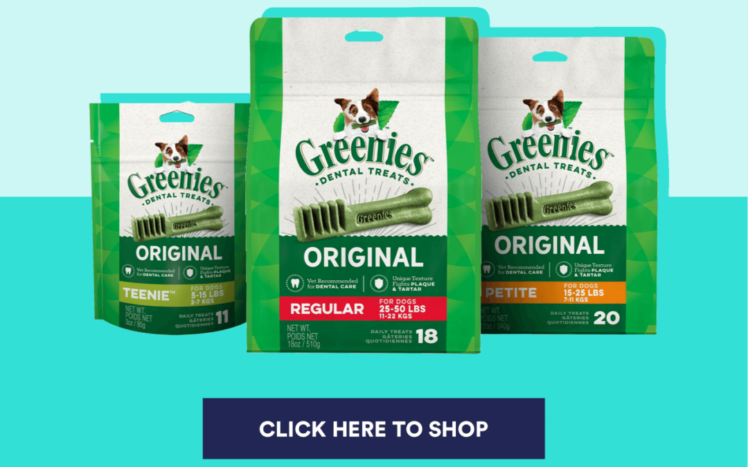 DENTAL_HEALTH_BLOG_Greenies