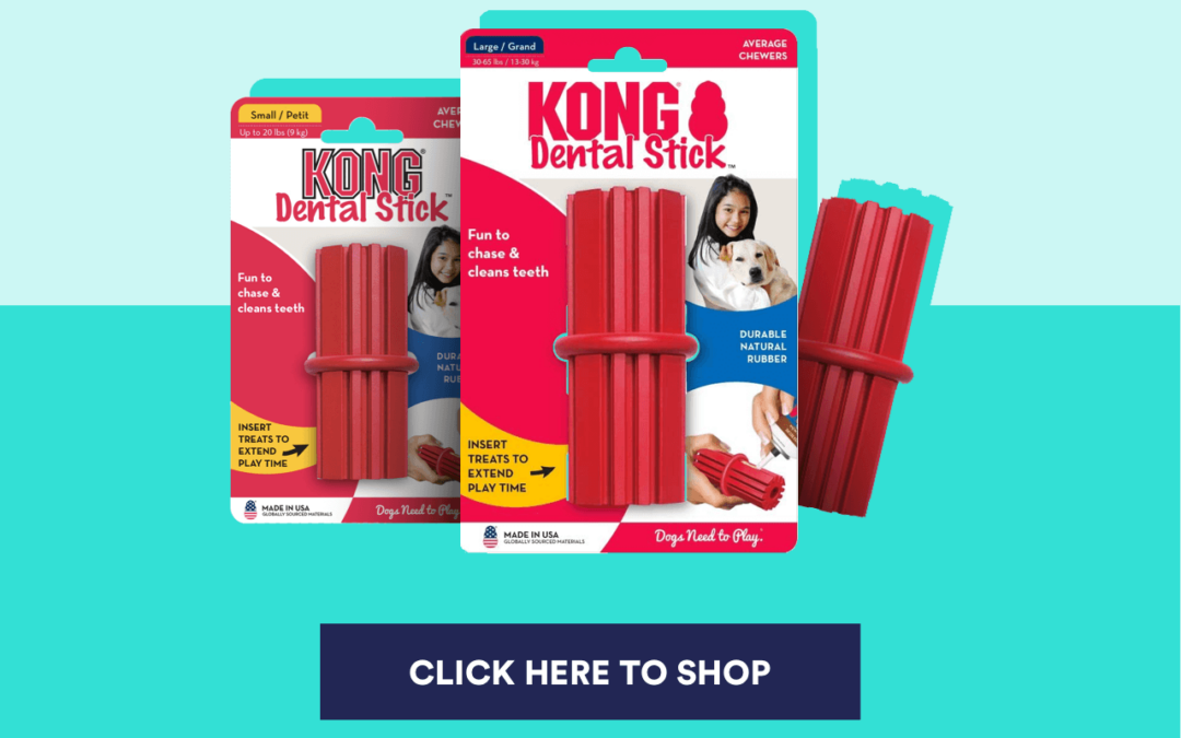DENTAL_HEALTH_BLOG_Kong