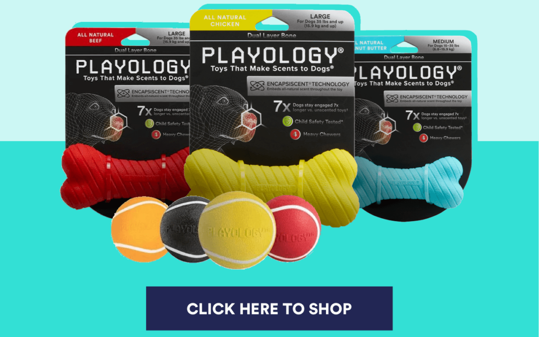 DENTAL_HEALTH_BLOG_Playology