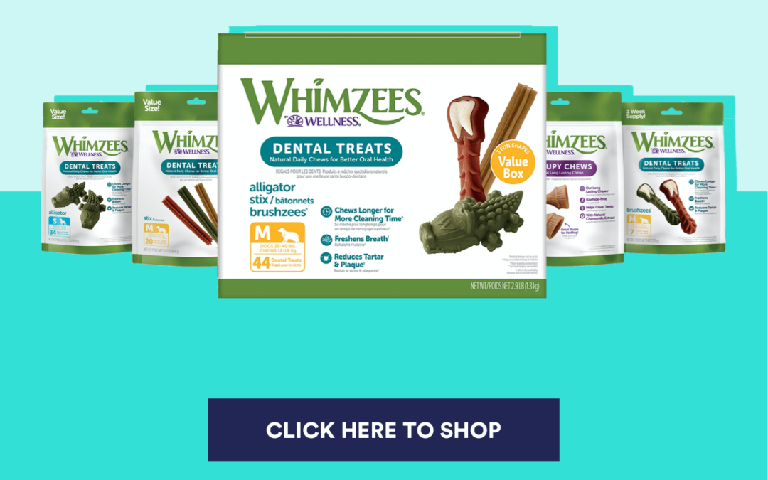 DENTAL_HEALTH_BLOG_Whimzees