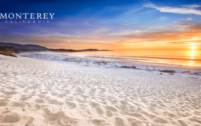 Join Us at the 2023 West Coast Phillips Buying Show in Monterey, CA!