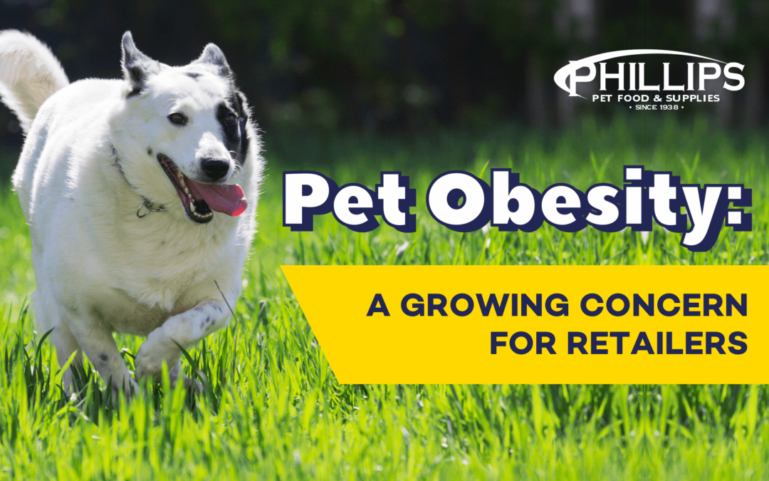 PET_OBESITY_BLOG_HERO