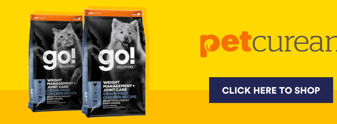 PET_OBESITY_PETCUREAN