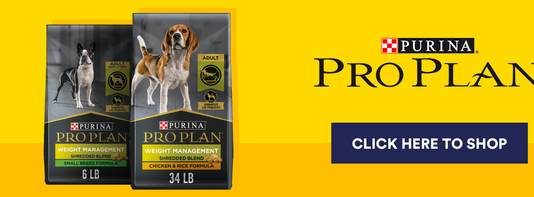 PET_OBESITY_PURINA