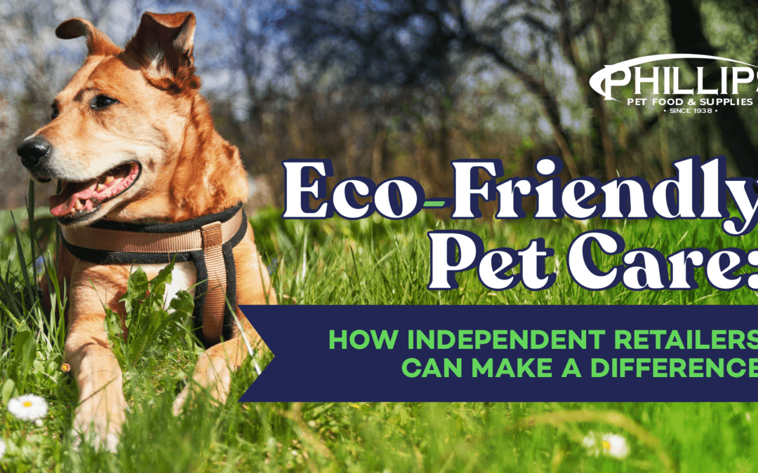 Eco-Friendly Pet Care: How Independent Retailers Can Make a Difference