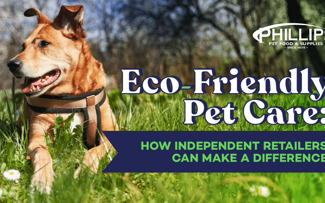 ECO_FRIENDLY_BLOG_HEADER