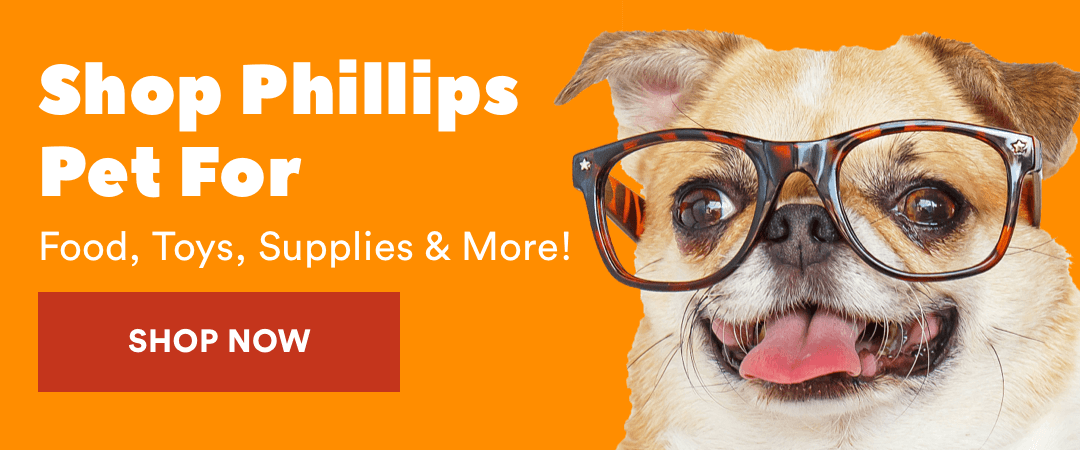 SHOP PHILLIPS CTA